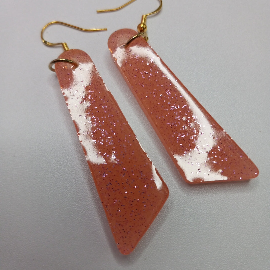 6 $ earrings